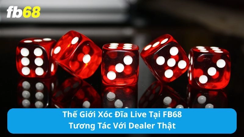 Xóc đĩa live